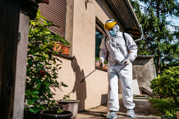 Best Affordable Pest Control Services  in Juneau, AK